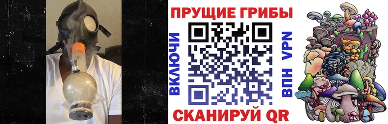 Галлюциногенные грибы Psilocybe Чебаркуль